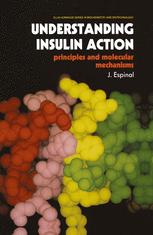 Understanding Insulin Action: Principles and Molecular Mechanisms
