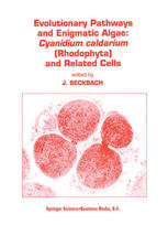 Evolutionary Pathways and Enigmatic Algae: Cyanidium caldarium (Rhodophyta) and Related Cells
