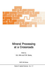 Mineral Processing at a Crossroads: Problems and Prospects