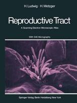 The Human Female Reproductive Tract: A Scanning Electron Microscopic Atlas