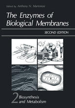 The Enzymes of Biological Membranes: Volume 2 Biosynthesis and Metabolism