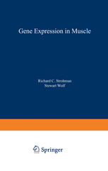 Gene Expression in Muscle