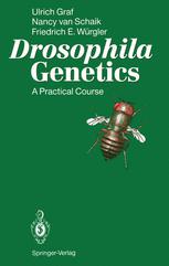 Drosophila Genetics: A Practical Course