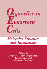 Organelles in Eukaryotic Cells: Molecular Structure and Interactions