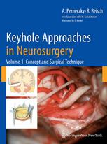 Keyhole Approaches in Neurosurgery: Volume I Concept and surgical technique