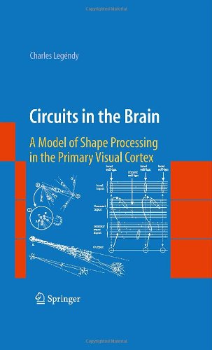 Circuits in the Brain: A Model of Shape Processing in the Primary Visual Cortex