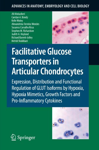 Facilitative Glucose Transporters in Articular Chondrocytes: Expression, Distribution and Functional Regulation of GLUT Isoforms by Hypoxia, Hypoxia M
