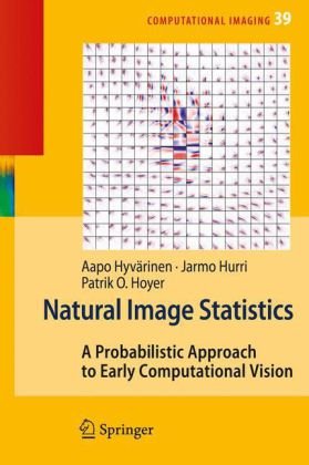 Natural Image Statisticsq