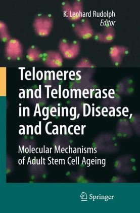 Telomeres and Telomerase in Aging, Disease, and Cancer: Molecular Mechanisms of Adult Stem Cell Ageingq