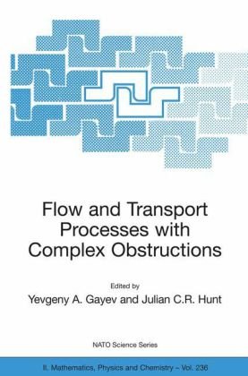 Flow and Transport Processes with Complex Obstructions, Applications to Cities, Vegetative Canopies, and Industry (NATO Science Series II: Mathematics