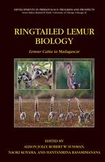 Ringtailed Lemur Biology:  Lemur Catta in Madagascar