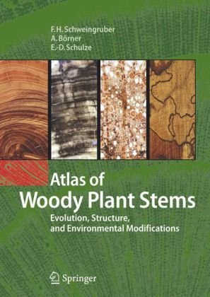 Atlas of Woody Plant Stems: Evolution, Structure, and Environmental Modifications