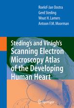 Steding’s and Viragh’s Scanning Electron Microscopy Atlas of the Developing Human Heart