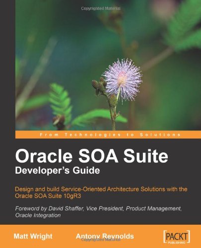 Oracle SOA Suite Developers Guide