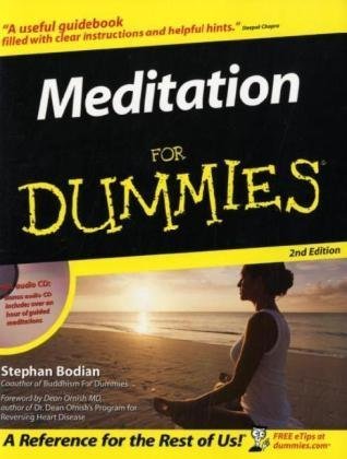 Meditation For Dummies (Book and CD edition)