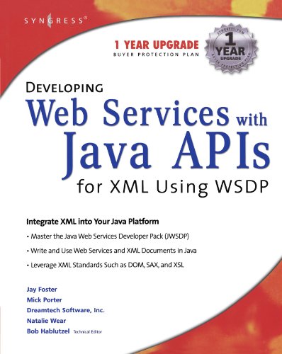 Developing Web Services with Java APIs for XML