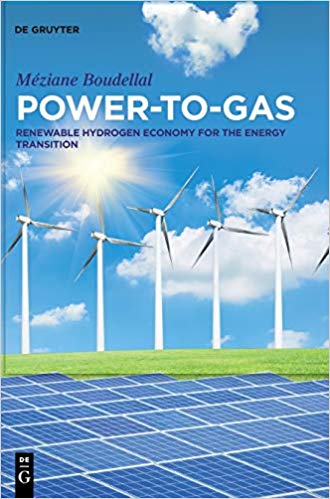 Power-to-Gas: Renewable Hydrogen Economy for the Energy Transition