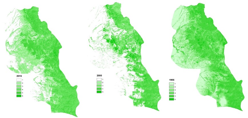دانلود گزارش کار درس سنجش از دور پیشرفته (بررسی تغییرات پوشش گیاهی جنگل‌های فندوقلو با استفاده از پردازش  تصاویر چند زمانه ماهواره سری لندست)