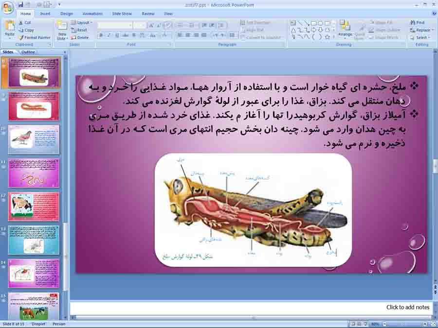 پاورپوینت زیست دهم تجربی ( تنوع گوارش در جانداران )