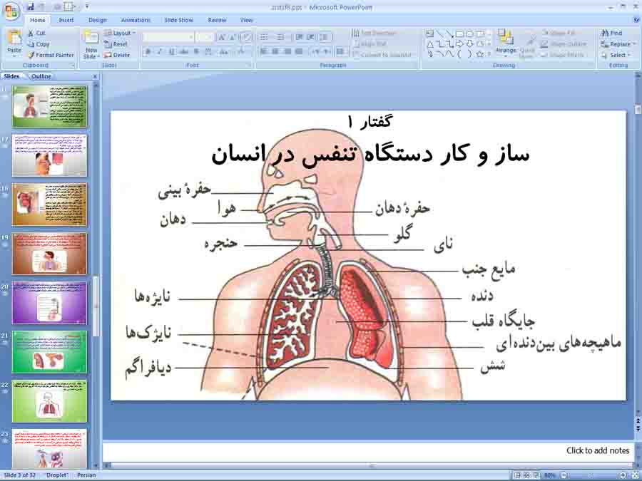 پاورپوینت زیست دهم تجربی ( ساز و کار دستگاه تنفس در انسان )