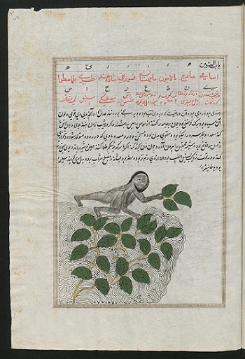 نسخه قدیمی درخواص درختان وگیاهان (دستنویس مصور)