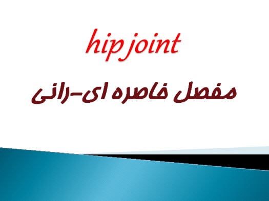 پاورپوینت مفصل خاصره ای-رانی