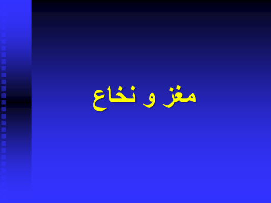 پاورپوینت مغز و نخاع