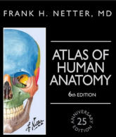 خرید و داتلود کتاب  آناتومی اطلس  نتر  به زبان اصلی  769 صفحه pdf