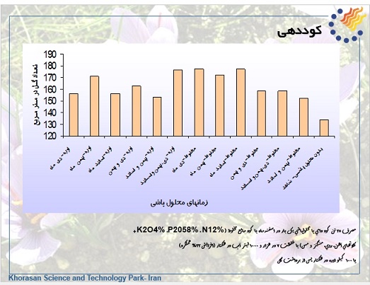 پاورپوینت فن آوری  تولید و فرآوری زعفران در ایران