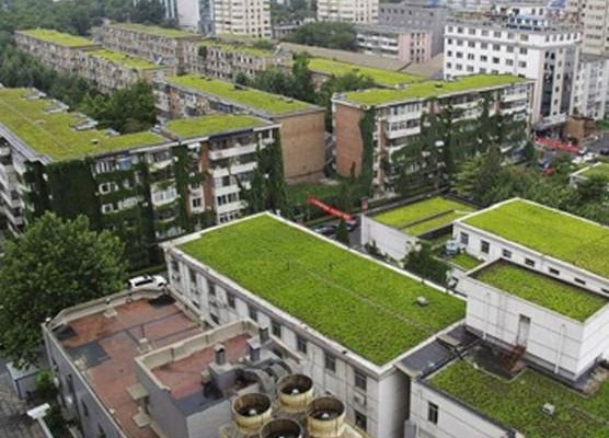 معماری پایدار،معماری سبز