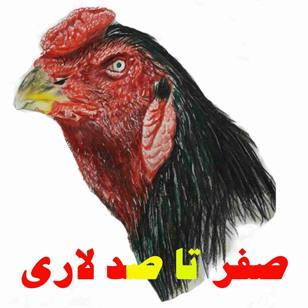 صفر تا صد لاری