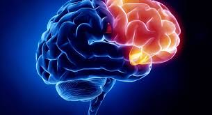 پاورپوینت اسیب های مغزی چیست ؟