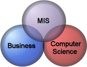 سیستم مدیریت اطلاعات MIS