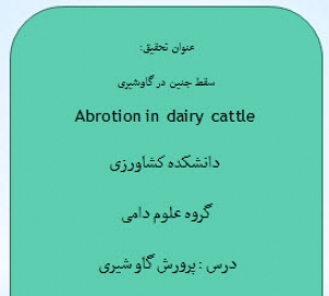 دانلود سمینارسقط جنین در گاو شیری (پاورپوینت)
