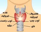 دانلود مقاله اختلالات غده تیروئید( thyroid disorder regulator)