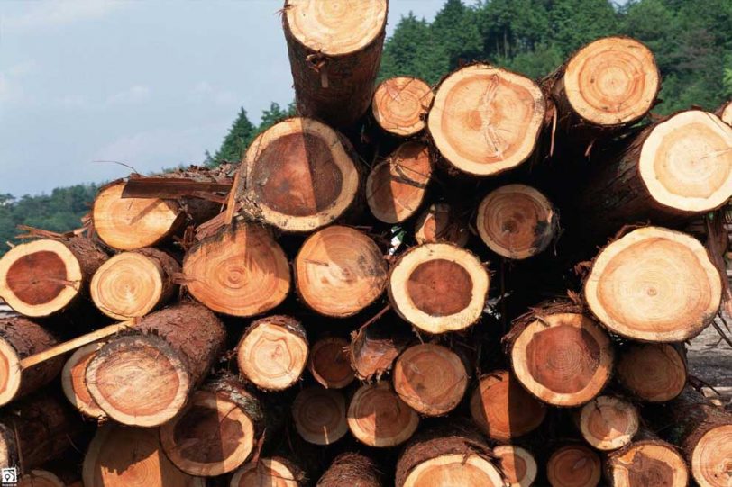 دانلود پاورپوینت  مواد و مصالح ساختمانی -  چوب  ( تنها مصالح تجدیدپذیر )