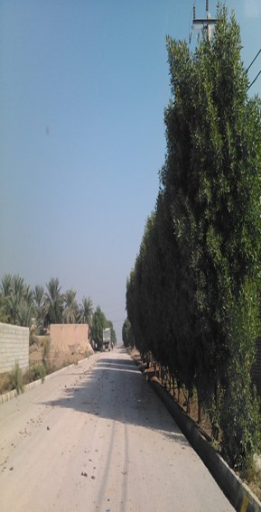 پاورپوینت روستای ابو ناگه
