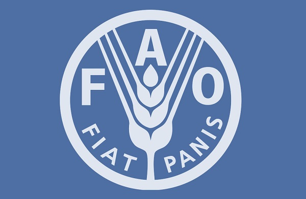 پاورپوینت کامل و جامع با عنوان سازمان خواربار و کشاورزی ملل متحد یا فائو یا FAO در 15 اسلاید
