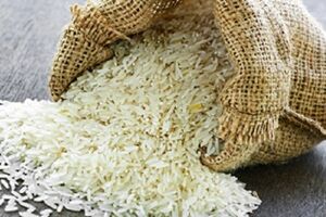 پاورپوینت کامل و جامع با عنوان بررسی گیاه برنج در 55 اسلاید