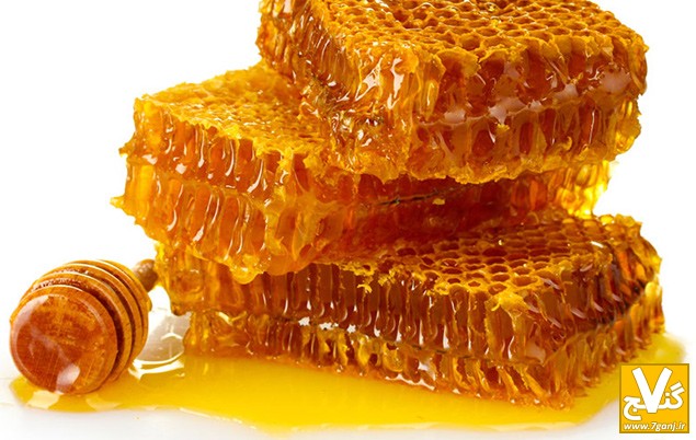 پاورپوینت کامل و جامع با عنوان بررسی عسل و خواص و ویژگی های آن در 41 اسلاید