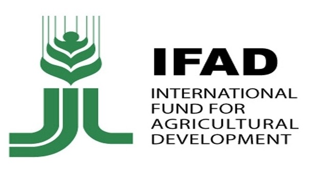پاورپوینت کامل و جامع با عنوان صندوق بین المللی توسعه کشاورزی در 14 اسلاید