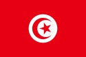 پاورپوینت کامل و جامع با عنوان بررسی کشور تونس در 38 اسلاید