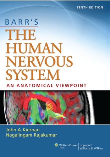 The Human Nervous System