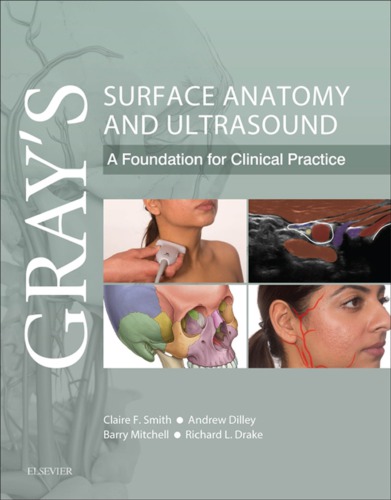 grays surface anatomy and ultrasound