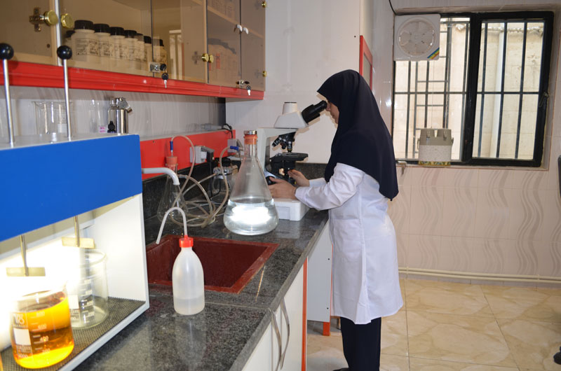 دانلود گزارش کارآموزی رشته شیمی کاربردی با موضوع آزمایشگاه آب