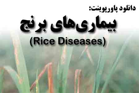 دانلود پاورپوینت بیماری‌های برنج
