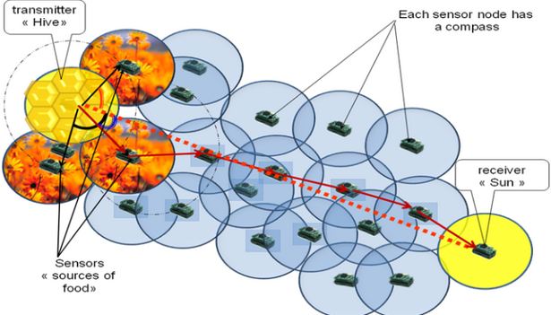 دانلود پاورپوینت الگوريتم كولونی زنبور عسل(Artificial bee colony algorithm)