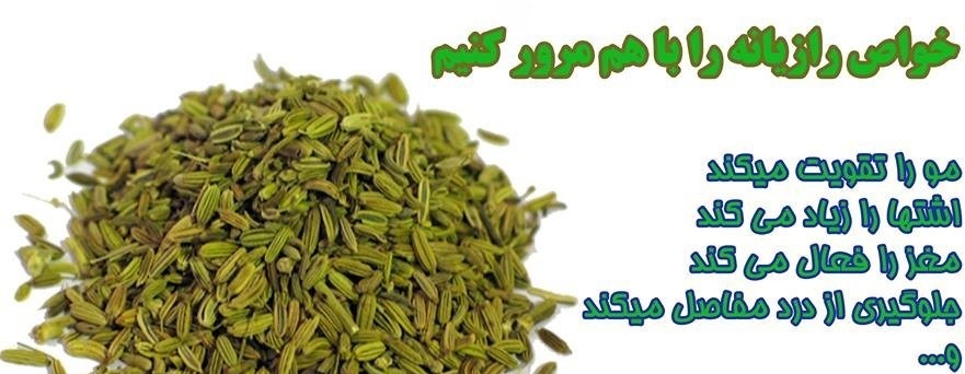 کلیات گیاه شناسی(رازیانه)
