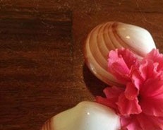 ریلکسیشن. تعدادصفحه(5)