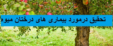 تحقیق درمورد بیماری های درختان میوه